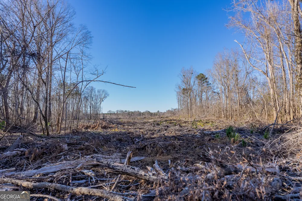0 Oconee River, Bells Ferry Highway Lumber City, GA 31549