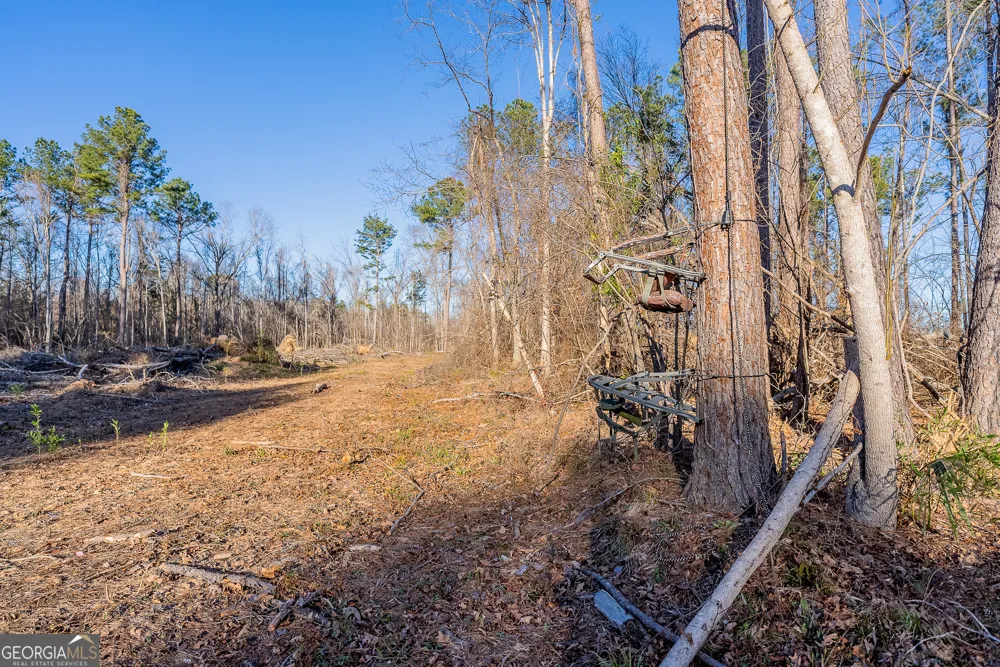 0 Oconee River, Bells Ferry Highway Lumber City, GA 31549