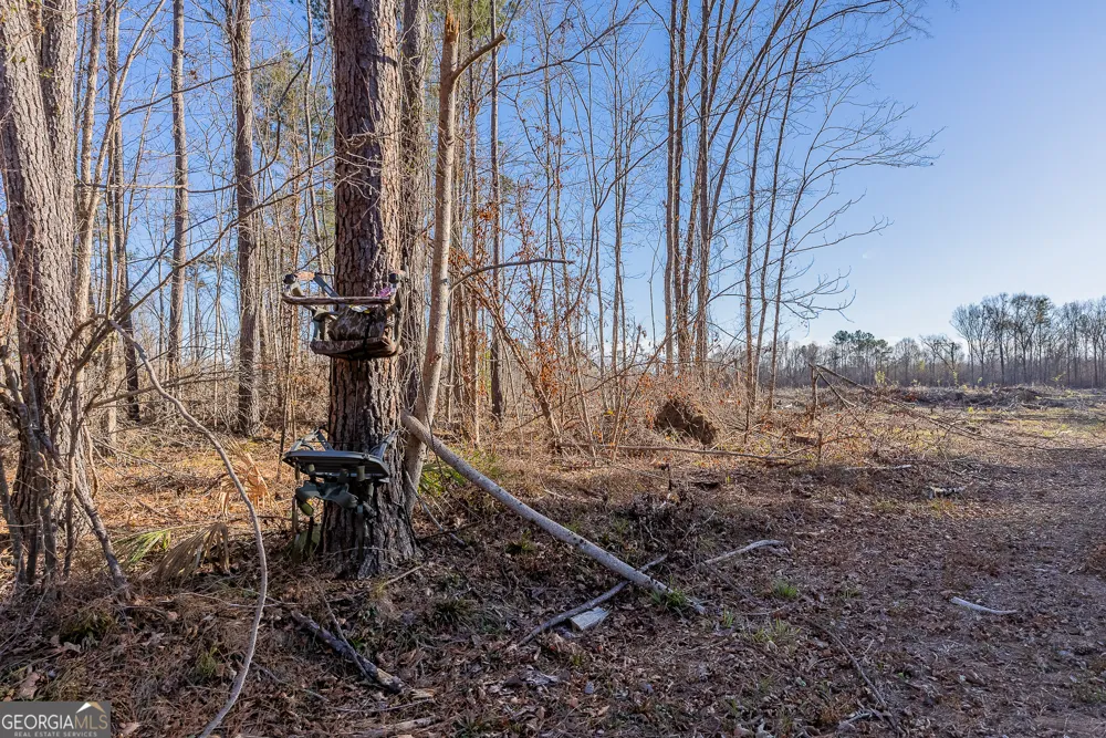 0 Oconee River, Bells Ferry Highway Lumber City, GA 31549