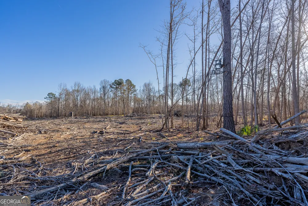 0 Oconee River, Bells Ferry Highway Lumber City, GA 31549