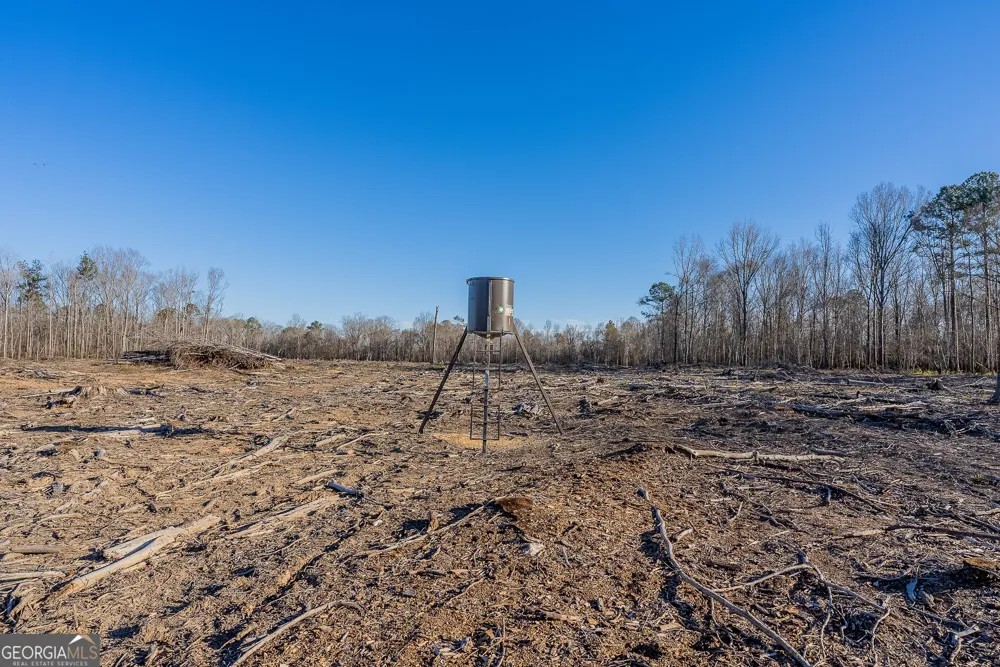 0 Oconee River, Bells Ferry Highway Lumber City, GA 31549