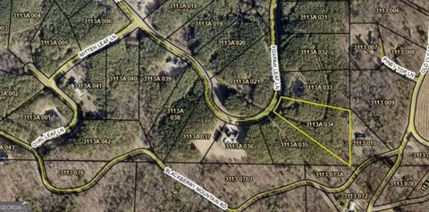 0 Fox Paw Leaf LN