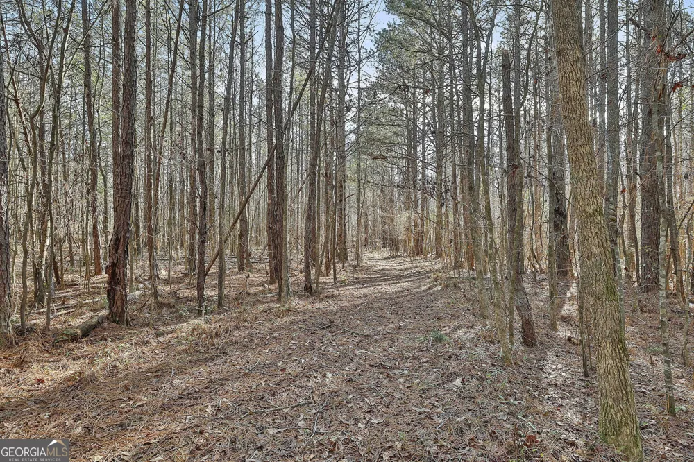 1870 Highway 92 N Fayetteville, GA 30214