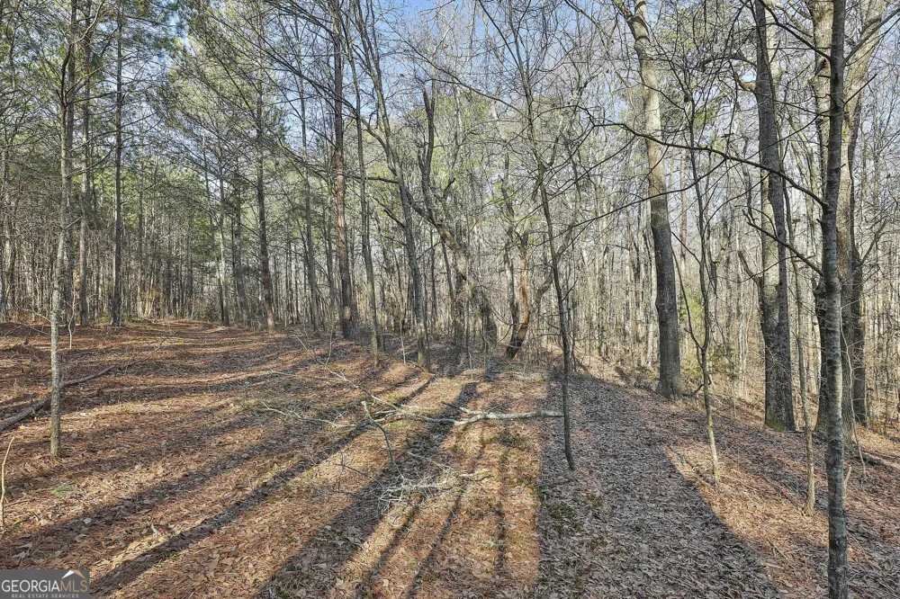 1870 Highway 92 N Fayetteville, GA 30214