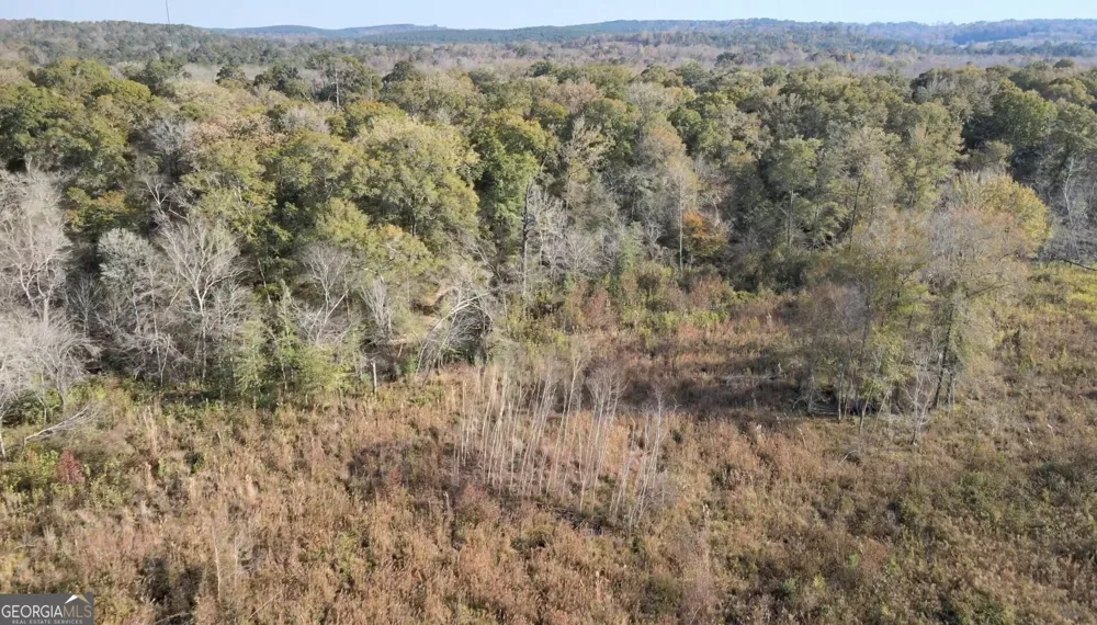 0 Old Eighty Five RD Sandersville, GA 31082