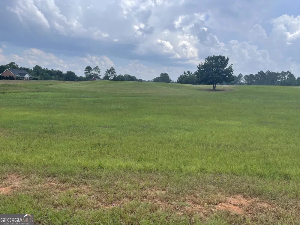 44 Crabapple DR Hawkinsville, GA 31036