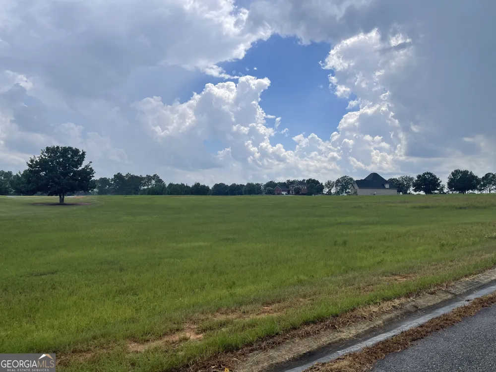 44 Crabapple DR Hawkinsville, GA 31036