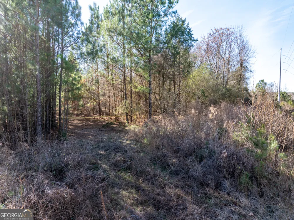 2071 Leslie Mill RD Greensboro, GA 30642