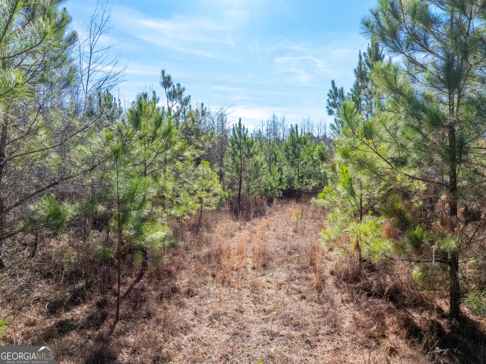 2071 Leslie Mill RD Greensboro, GA 30642