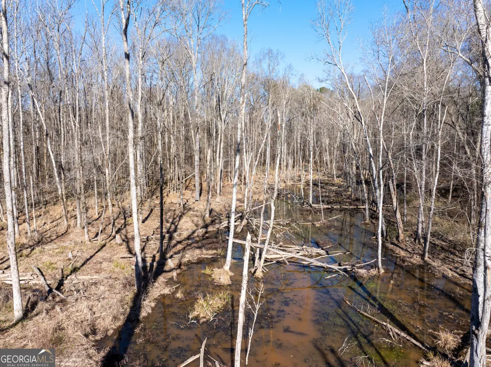 2071 Leslie Mill RD Greensboro, GA 30642