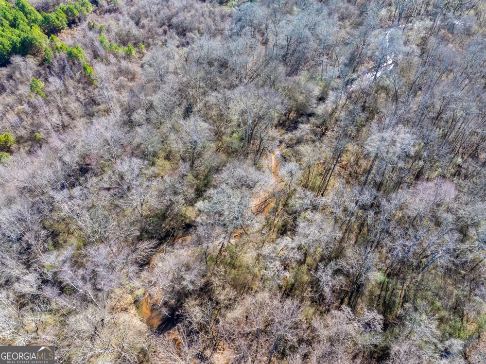 2071 Leslie Mill RD Greensboro, GA 30642