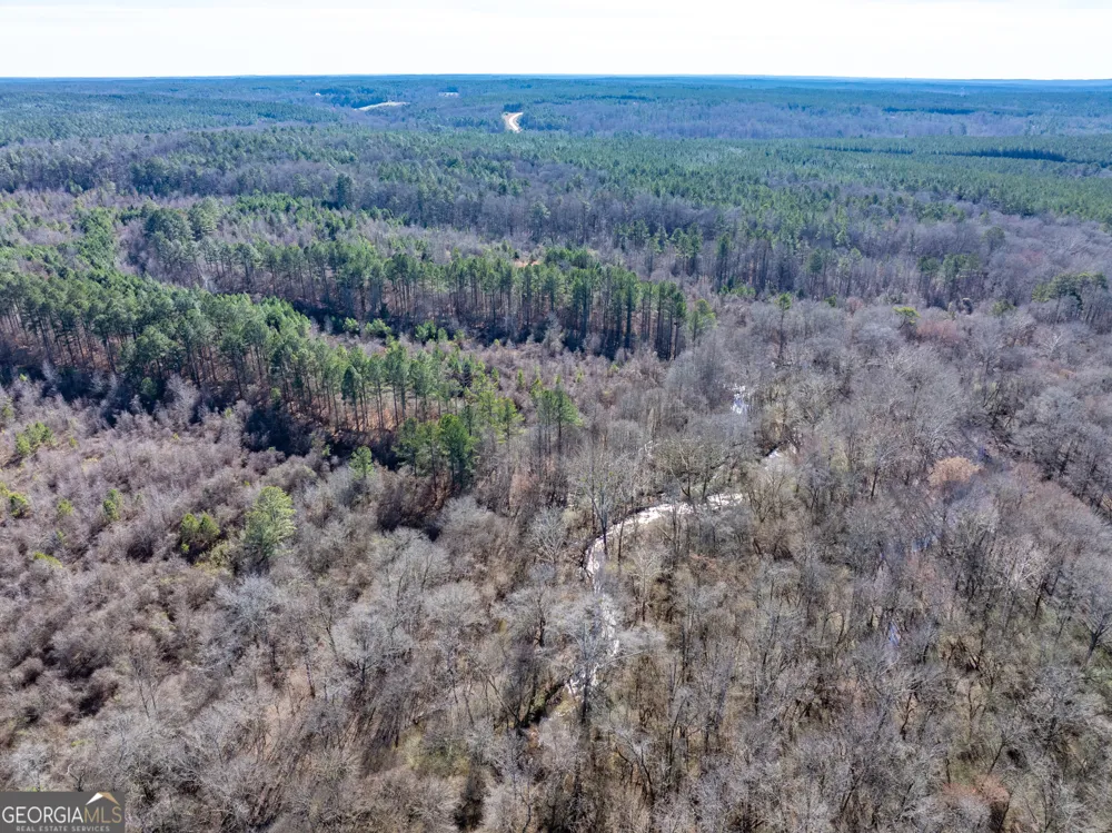 2071 Leslie Mill RD Greensboro, GA 30642
