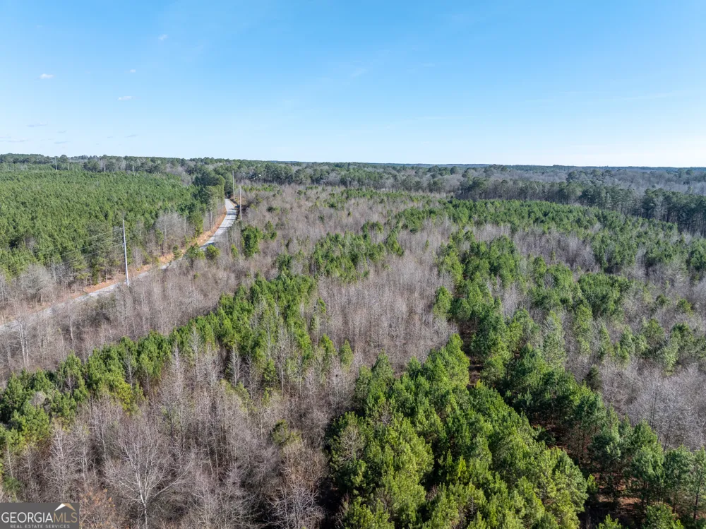 2071 Leslie Mill RD Greensboro, GA 30642