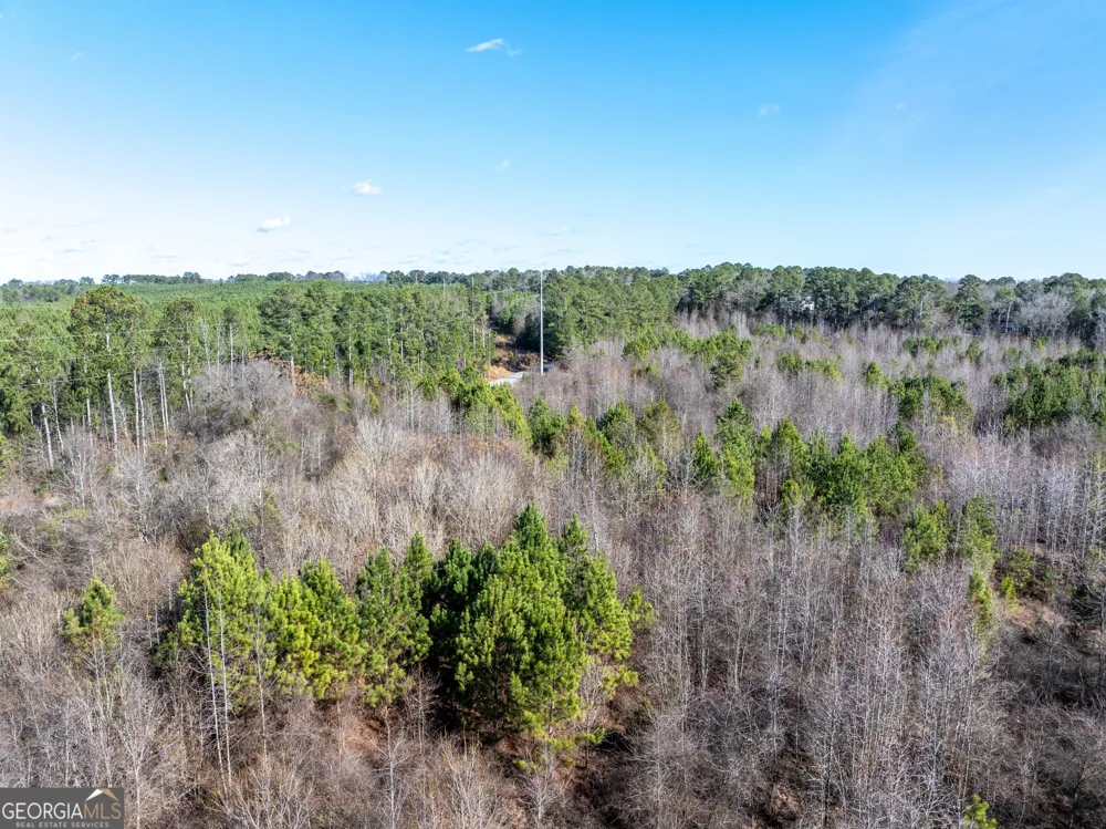 2071 Leslie Mill RD Greensboro, GA 30642