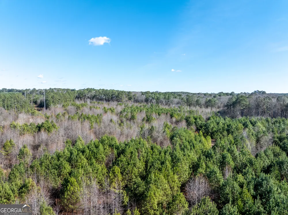 2071 Leslie Mill RD Greensboro, GA 30642