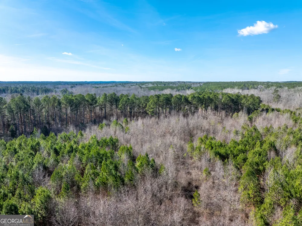 2071 Leslie Mill RD Greensboro, GA 30642