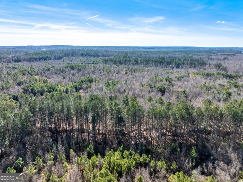 2071 Leslie Mill RD Greensboro, GA 30642