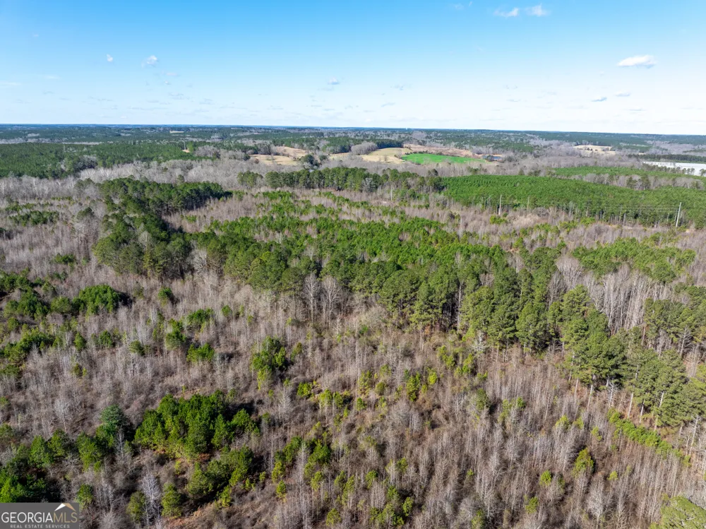 2071 Leslie Mill RD Greensboro, GA 30642