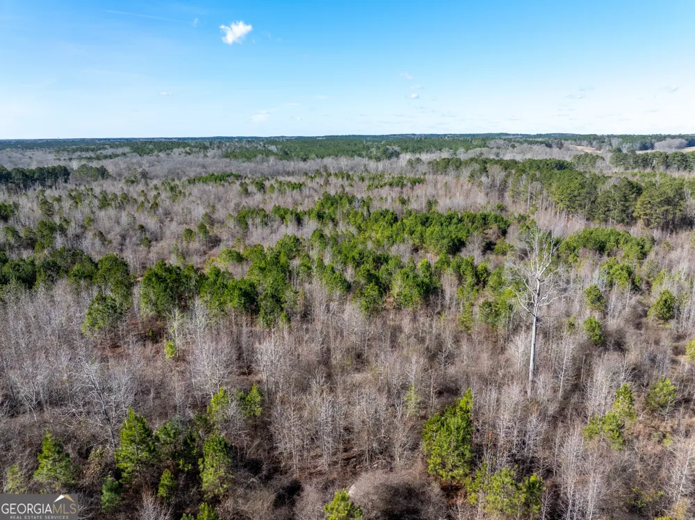 2071 Leslie Mill RD Greensboro, GA 30642