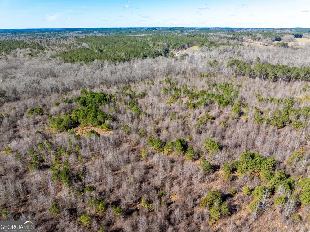 2071 Leslie Mill RD Greensboro, GA 30642