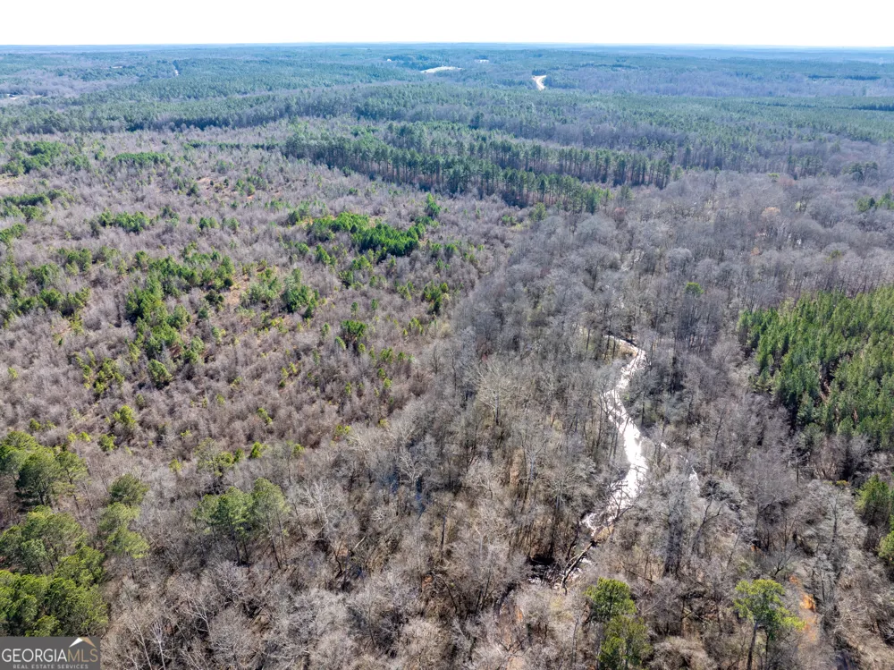 2071 Leslie Mill RD Greensboro, GA 30642