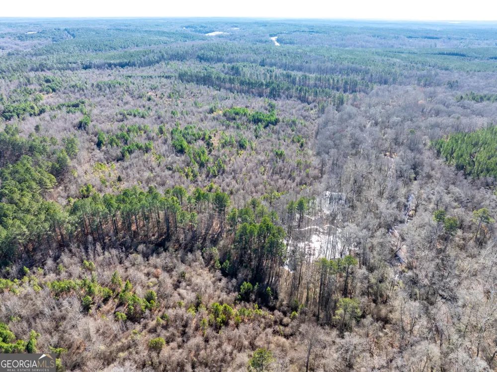 2071 Leslie Mill RD Greensboro, GA 30642