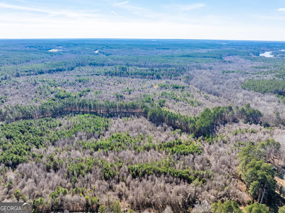 2071 Leslie Mill RD Greensboro, GA 30642