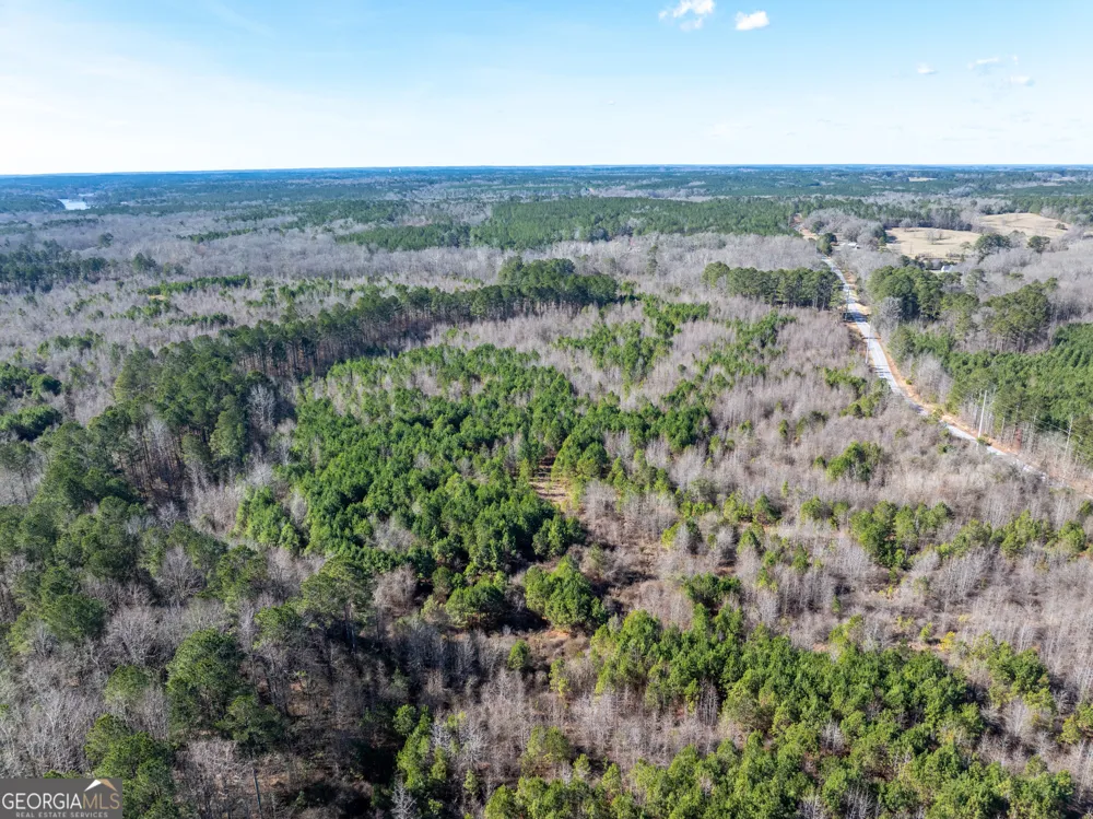 2071 Leslie Mill RD Greensboro, GA 30642