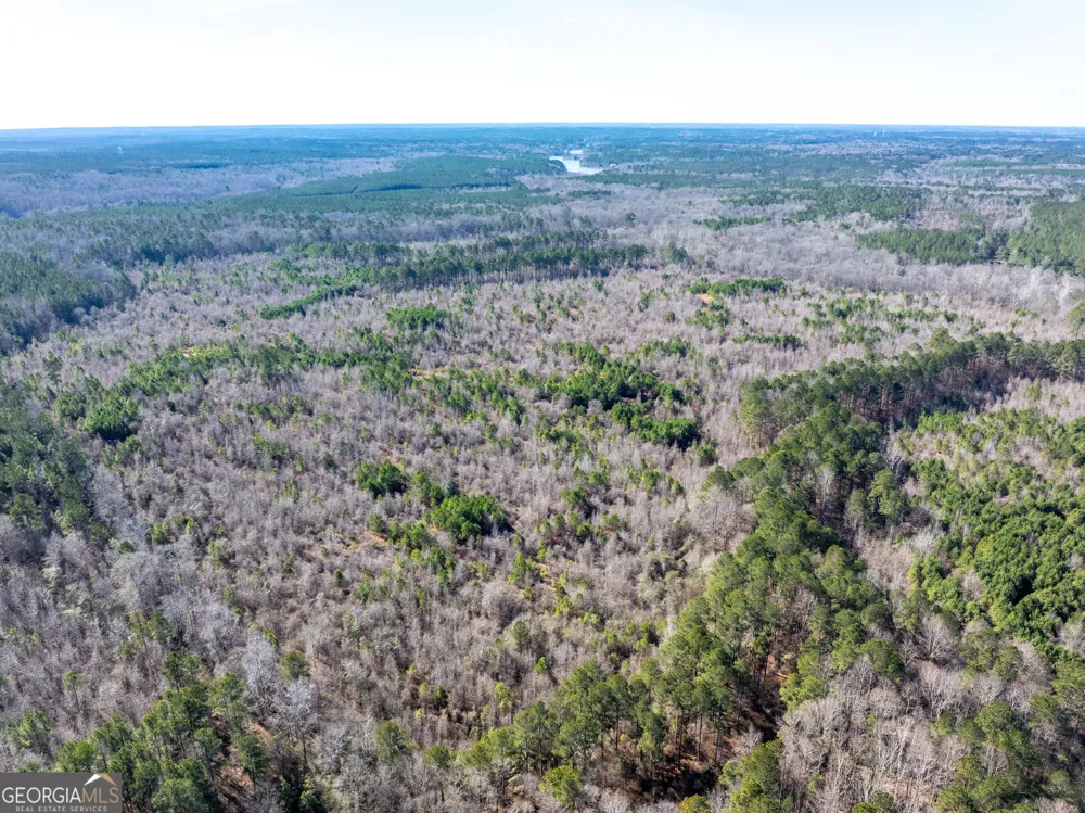 2071 Leslie Mill RD Greensboro, GA 30642
