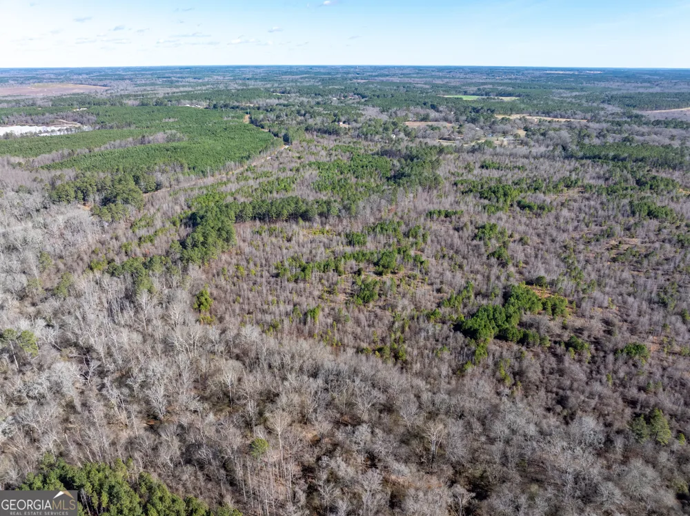 2071 Leslie Mill RD Greensboro, GA 30642