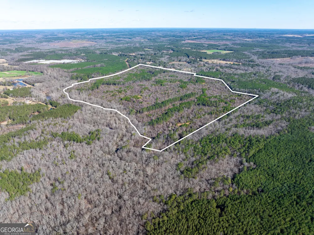2071 Leslie Mill RD Greensboro, GA 30642
