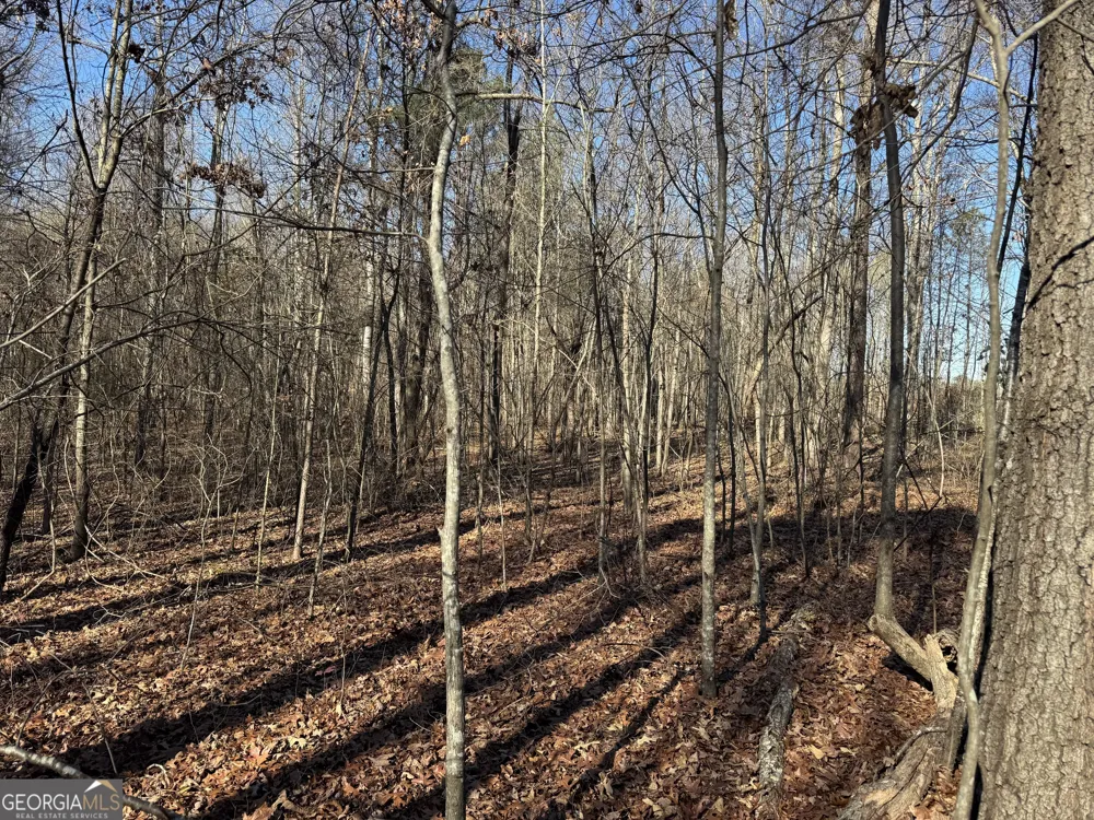 4611 MONROE Hwy - Hwy 78 Bogart, GA 30622