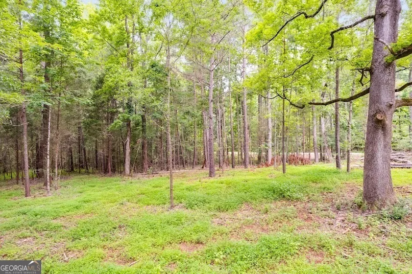0 Handy Road (7.52 Ac) Newnan, GA 30263