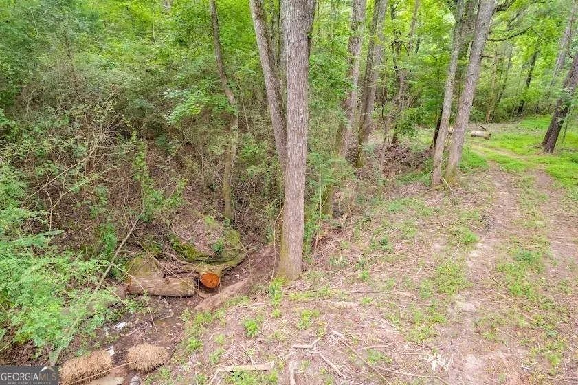 0 Handy Road (7.52 Ac) Newnan, GA 30263