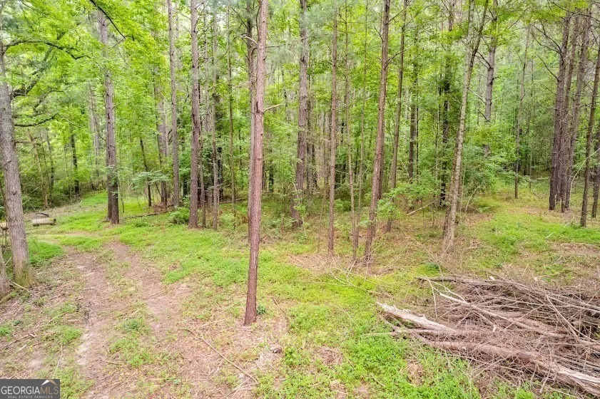 0 Handy Road (7.52 Ac) Newnan, GA 30263