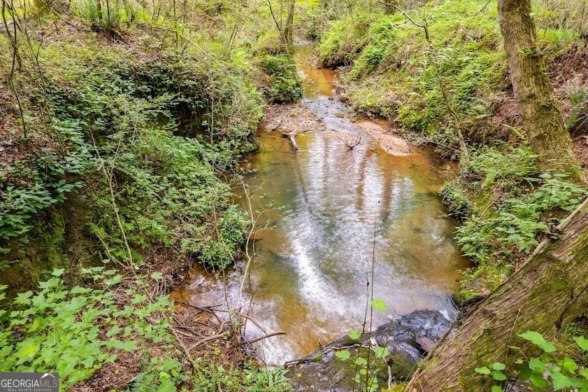 0 Handy Road (7.52 Ac) Newnan, GA 30263