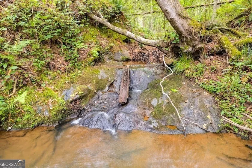0 Handy Road (7.52 Ac) Newnan, GA 30263
