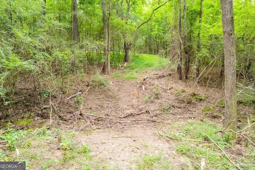 0 Handy Road (7.52 Ac) Newnan, GA 30263