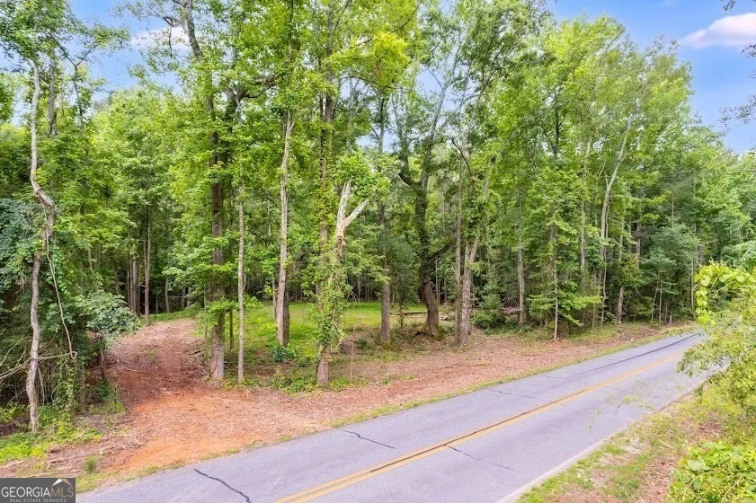 0 Handy Road (7.52 Ac) Newnan, GA 30263