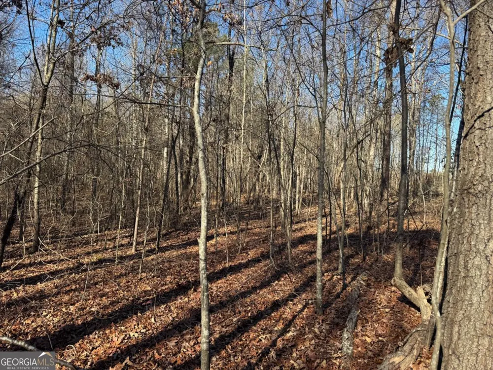 6601 Hog Mountain Hwy - Hwy 53 Bogart, GA 30622