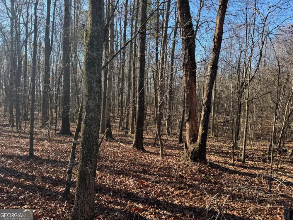 6601 Hog Mountain Hwy - Hwy 53 Bogart, GA 30622