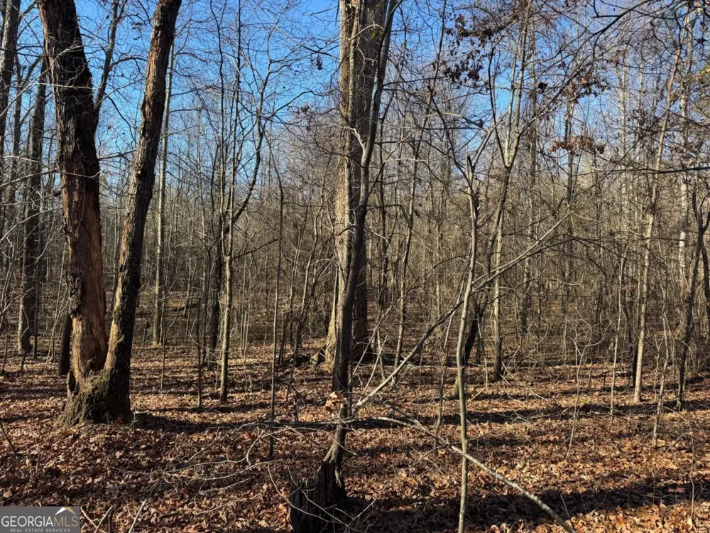 6601 Hog Mountain Hwy - Hwy 53 Bogart, GA 30622