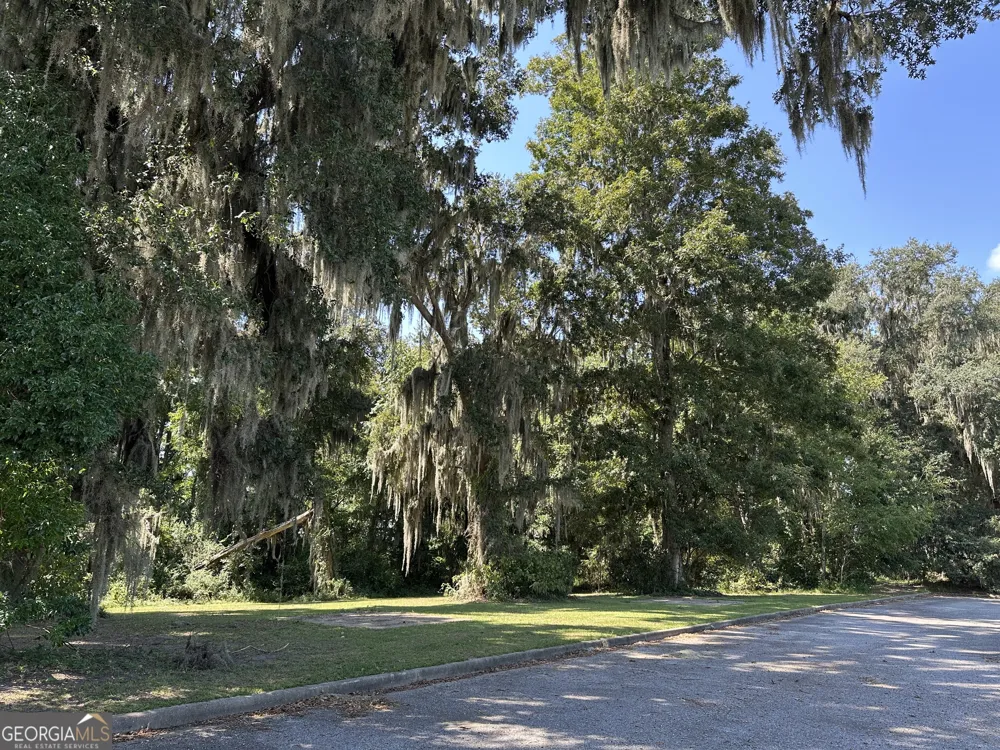 1231 River DR SW Darien, GA 31305