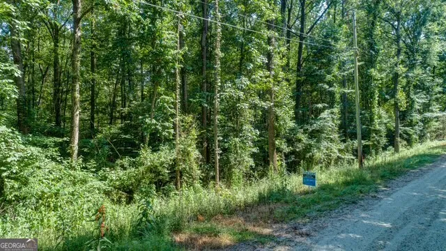 0 Tom Kat Lavonia, GA 30553