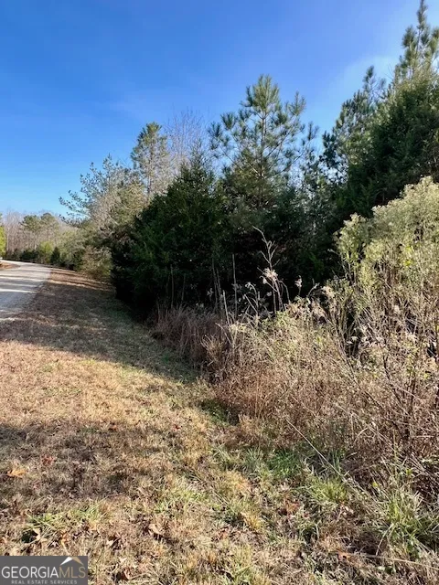 0 Edgewood TRL Elberton, GA 30635