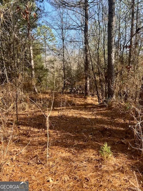 0 Edgewood TRL Elberton, GA 30635