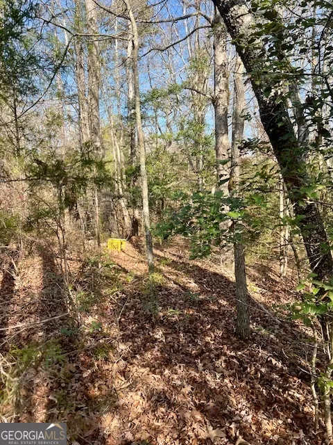 0 Edgewood TRL Elberton, GA 30635