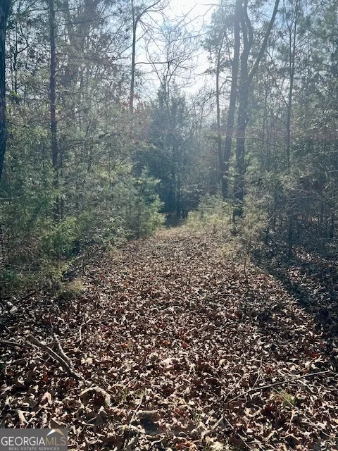 0 Edgewood TRL Elberton, GA 30635