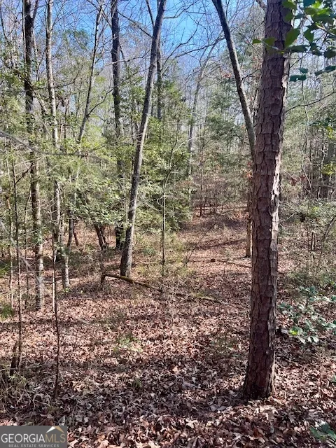 0 Edgewood TRL Elberton, GA 30635