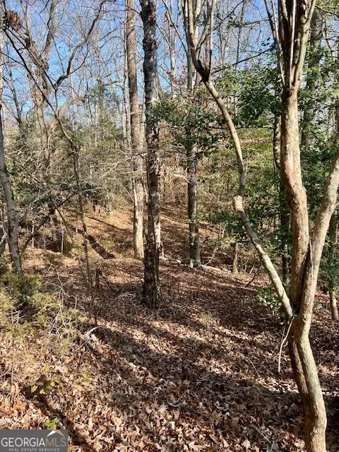 0 Edgewood TRL Elberton, GA 30635